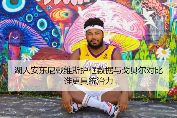 湖人安东尼戴维斯护框数据与戈贝尔对比谁更具统治力