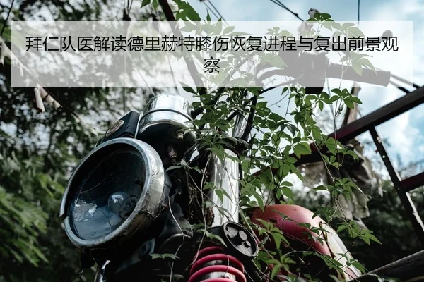 拜仁队医解读德里赫特膝伤恢复进程与复出前景观察