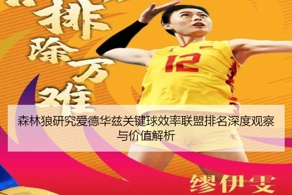 森林狼研究爱德华兹关键球效率联盟排名深度观察与价值解析